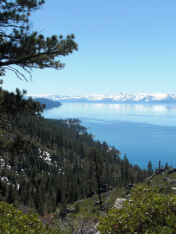 Widespread Landscaping - North Lake Tahoe and Truckee